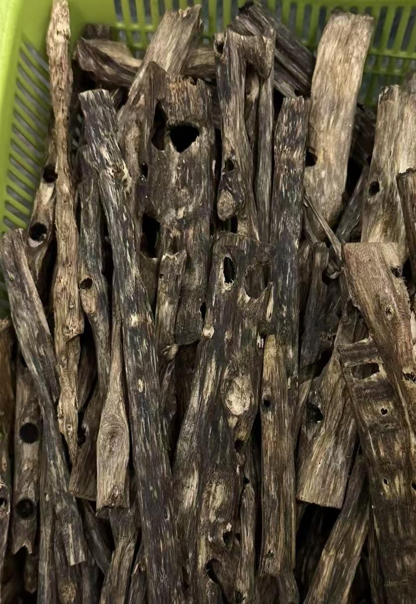 Agarwood for perfume