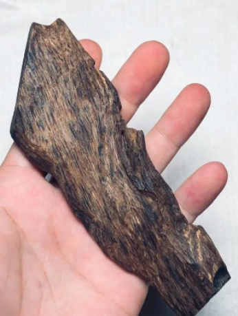 Agarwood For Sale